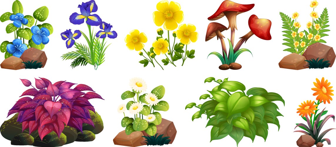 Large set colorful flowers on rocks and wood Vector Image