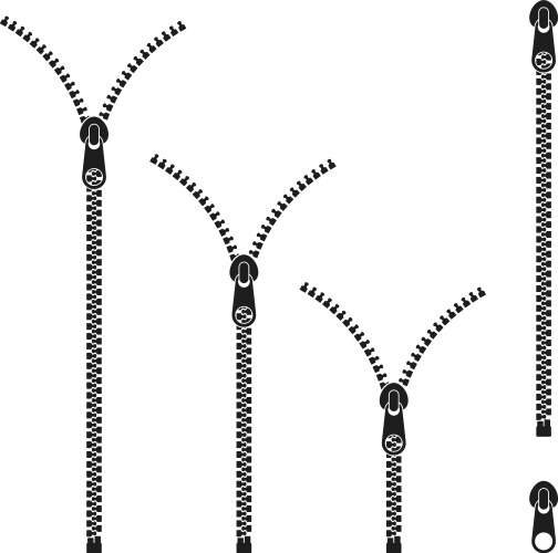 Set of different zippers Royalty Free Vector Image