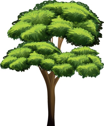 Tree Royalty Free Vector Image - VectorStock