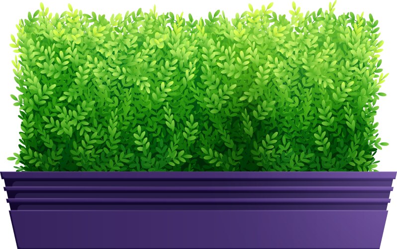 Realistic bush Royalty Free Vector Image - VectorStock