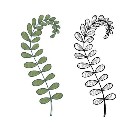 Plant branch forest greenery or grass line Vector Image