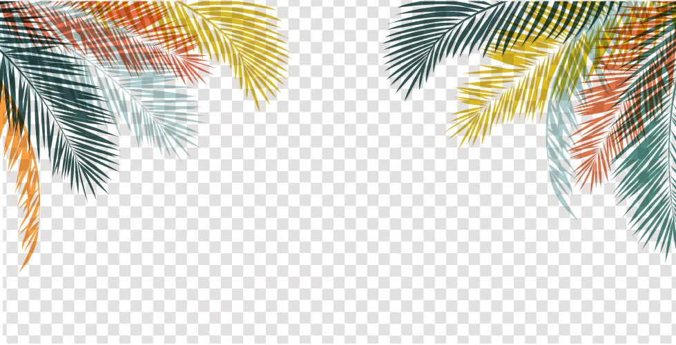 Green palm leaf frame and isolated transparent Vector Image