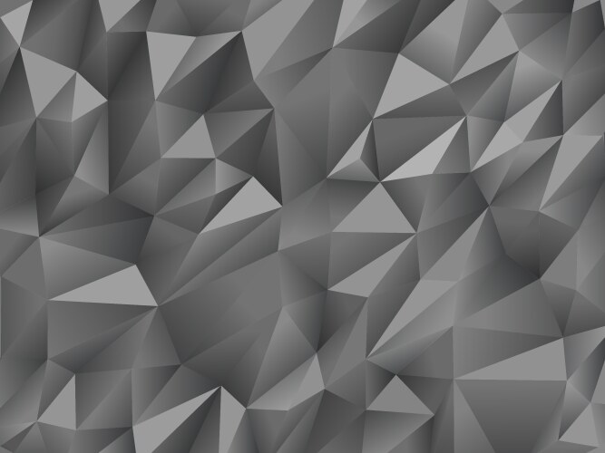 Background abstract polygon black and white Vector Image