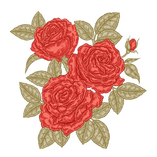 Vintage Red Roses Floral Sketch Vector Image