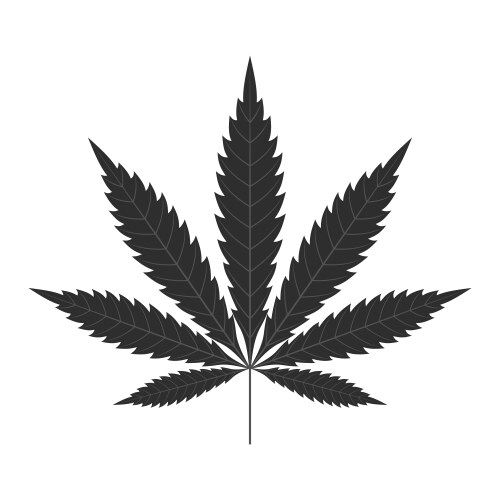 Cannabis Leaf Silhouette - Black Vector Image