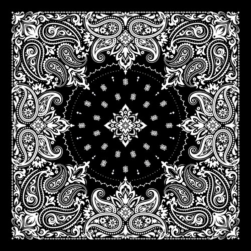 paisley bandana print vector