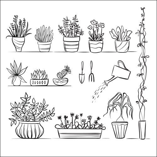 Gardening Tools & Plant Sketch Vector Image