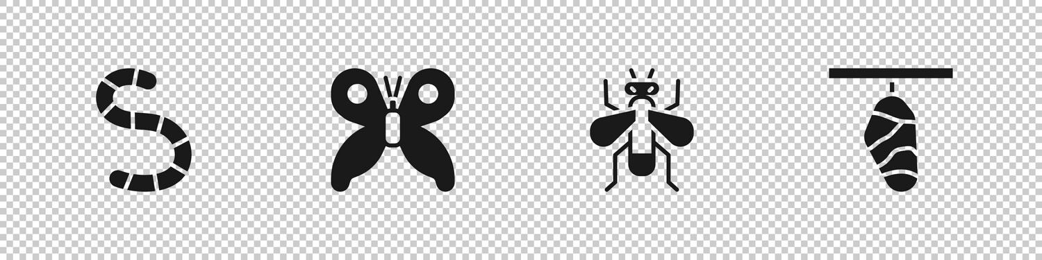 Set worm butterfly insect and cocoon icon Vector Image