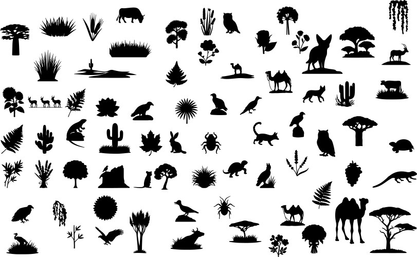Desert animals and plant Vector Image