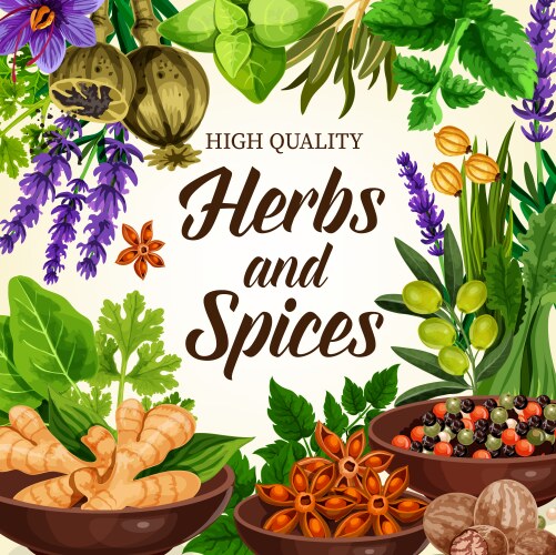 Seasoning Vector Images (over 1.9 million)