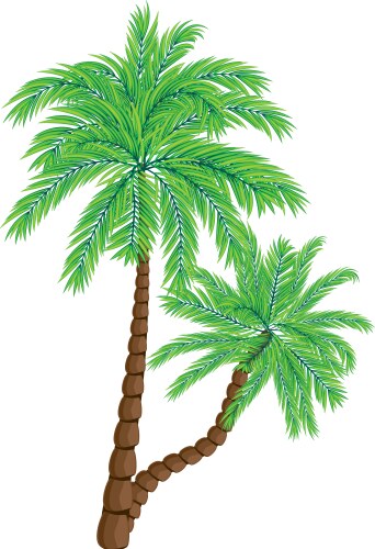 Palm trees set Royalty Free Vector Image - VectorStock