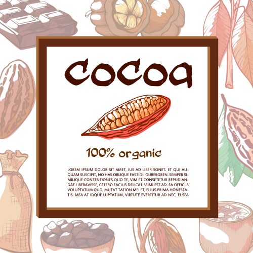 Cocoa beans tree banner with mock up for text vector image