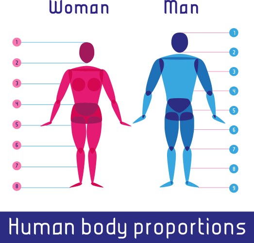 humanbody vector