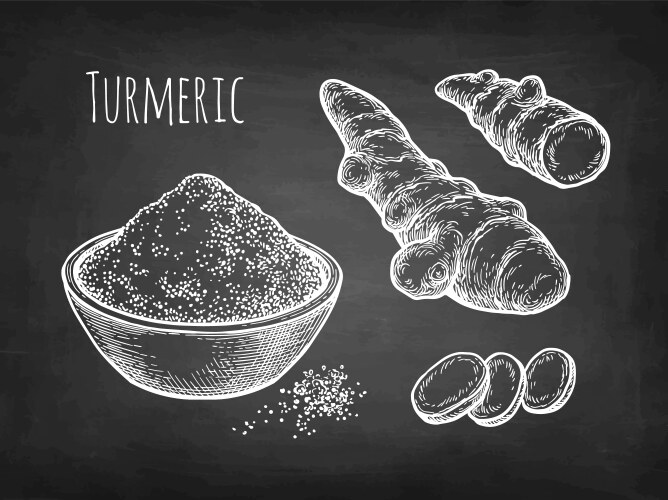 Turmeric Vector Images (over 3,100)