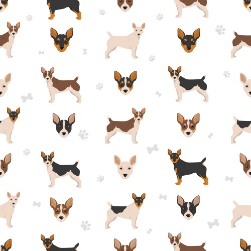 Seamless pattern with hand drawn jack russel Vector Image