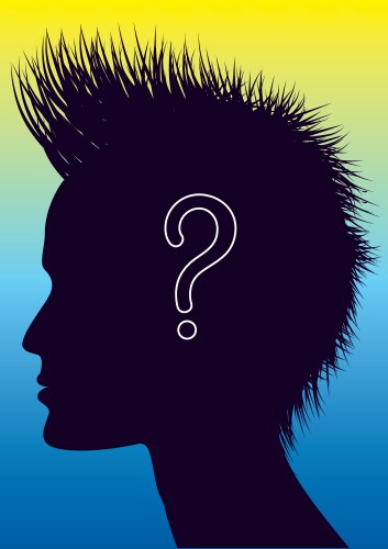 Human head with question mark form lines Vector Image