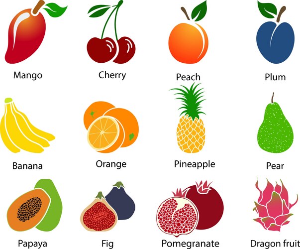 Colorful Fruit Variety – Royalty-Free Vector | VectorStock