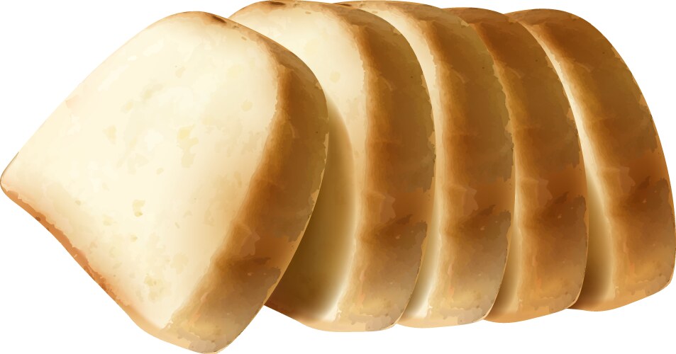 White bread slices Royalty Free Vector Image - VectorStock