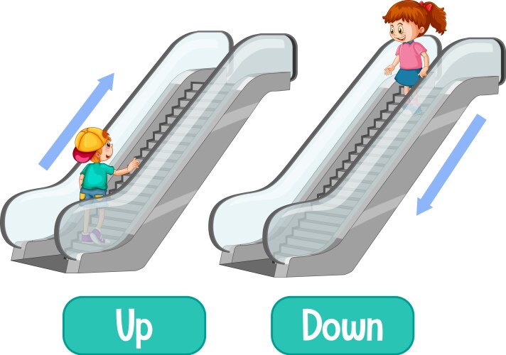 Opposite adjectives in and out Royalty Free Vector Image