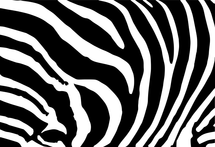 Zebra pattern Royalty Free Vector Image - VectorStock