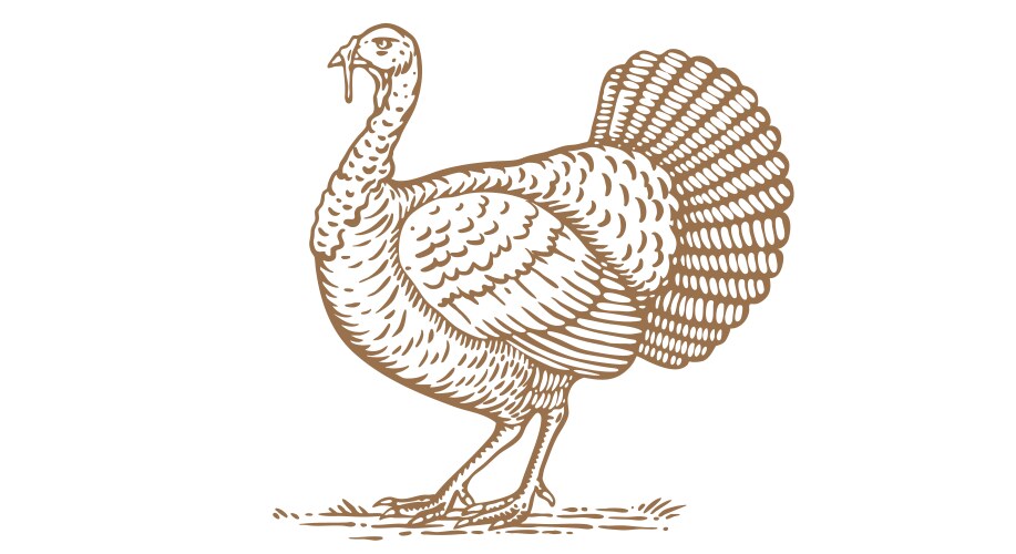 Turkey vintage retro print Vector Image