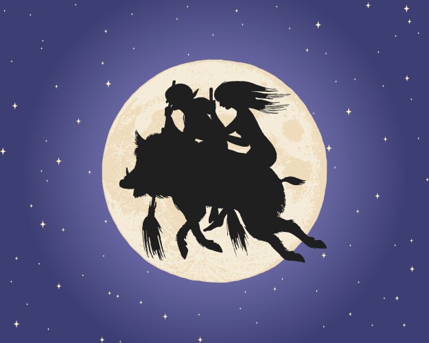 witch flying over the moon in night sky vector image