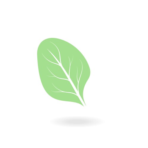 Flat leaves icons leaf icon Royalty Free Vector Image