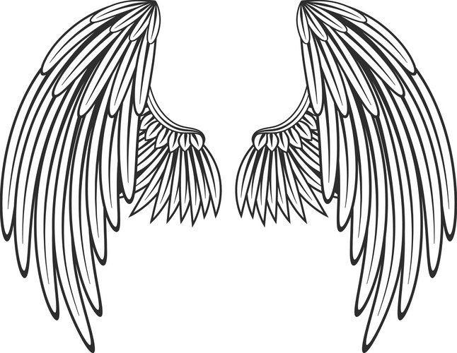Elegant Angel Wings Line Art Vector Image