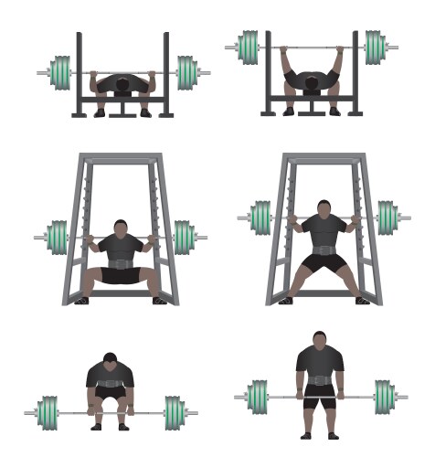Woman doing decline barbell bench press exercise Vector Image