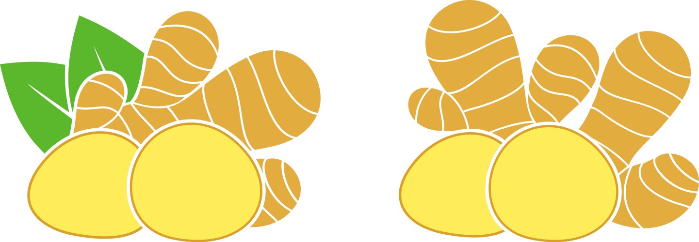 Ginger Root Symbol Vector Image