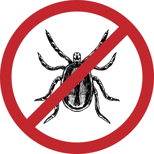 Isolated Mite Sketch Vector Image