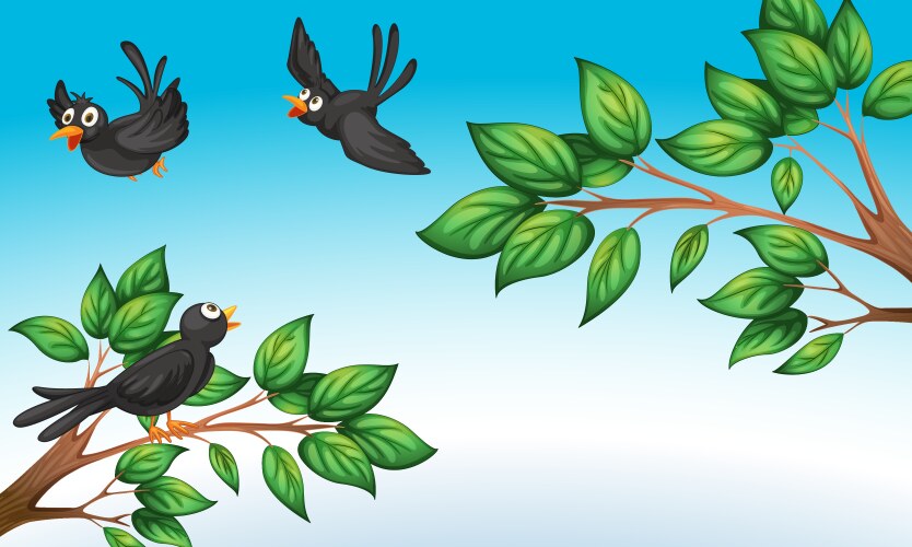Three birds at the forest Vector Image