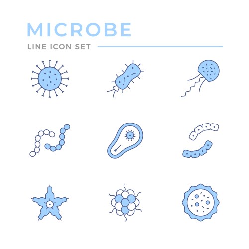 Bacterium Vector Images (over 81,000)