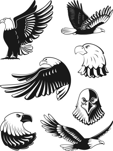 Eagles - Monochrome Set Vector Image