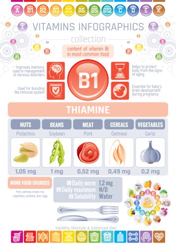 Thiamine B1 Food Icons - Healthy Eating Vector Image