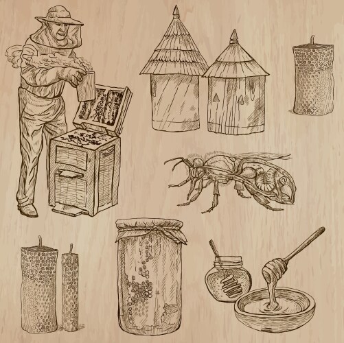 Beekeeping & Honey - Hand Drawn Pack Vector Image