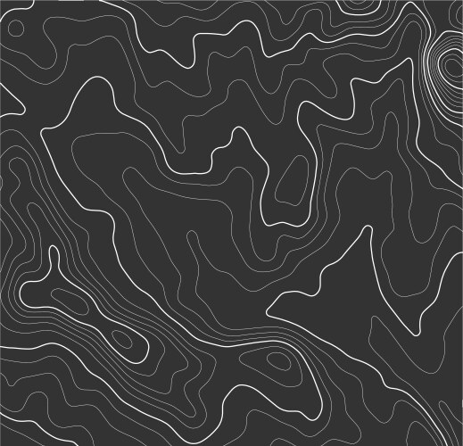 grey contours topography mountain terrain vector