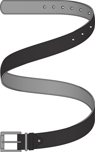 Belt Royalty Free Vector Image - VectorStock