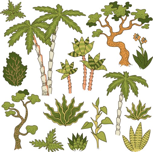 Jungle plants set Royalty Free Vector Image - VectorStock