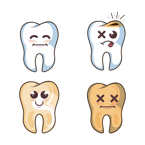 Human tooth character icon – Royalty-Free Vector | VectorStock