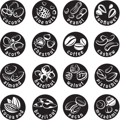 Walnuts cartoon coloring page Royalty Free Vector Image