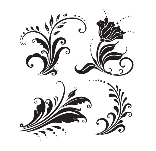 Set of elegant floral elements Royalty Free Vector Image