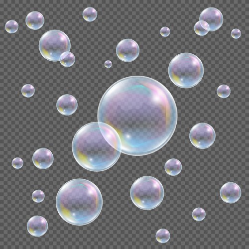 Soap bubble on transparent background realistic Vector Image