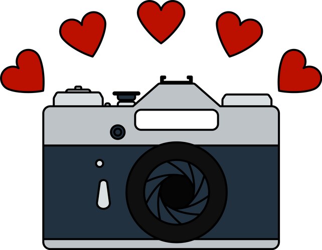 Camera with hearts icon vector image