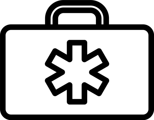 Medica case icon vector image