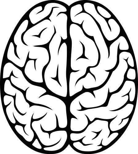 Human brain side view Royalty Free Vector Image