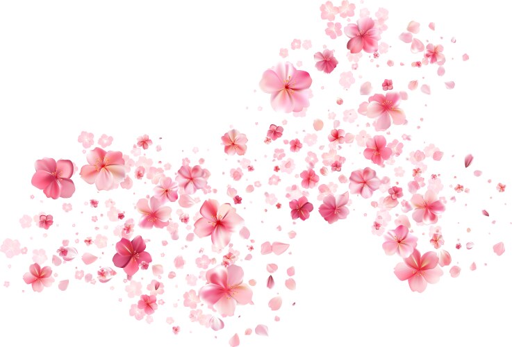 Delicate light pink sakura flowers flow wind Vector Image