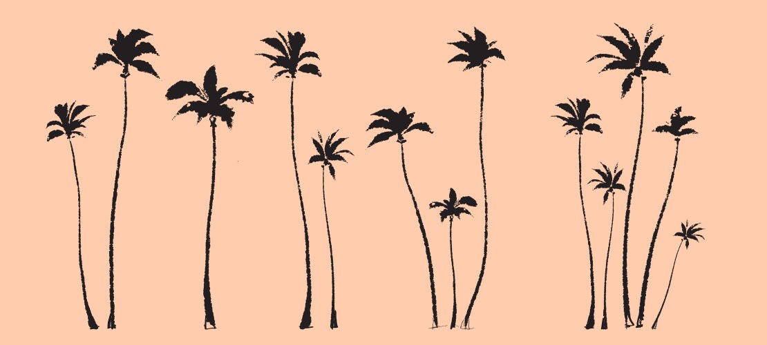 Palm tree leaves textured ink brush drawing Vector Image