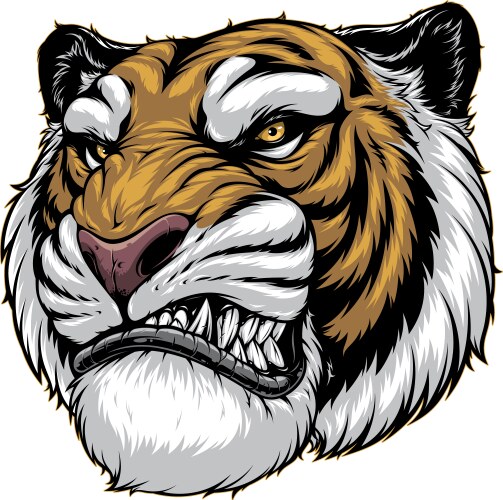 Tooth Drawing.pdf Fierce tiger roaring with bared teeth β Royalty-Free Vector | VectorStock