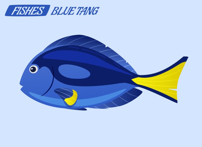 Fish character cartoon vector image